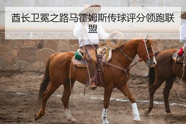 酋长卫冕之路马霍姆斯传球评分领跑联盟